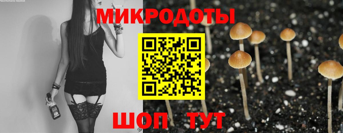Азов  Галлюциногенные грибы Cubensis  Вход с VPN 